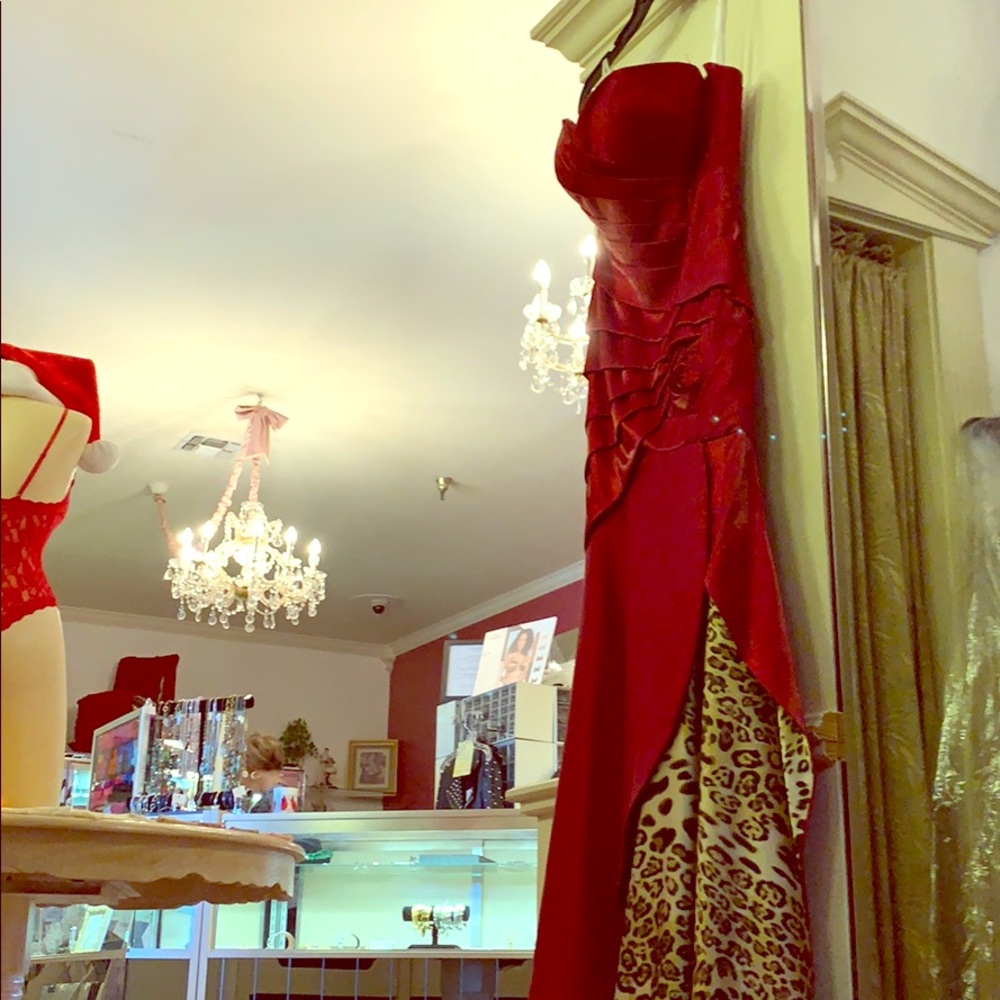 Terani Couture Dress